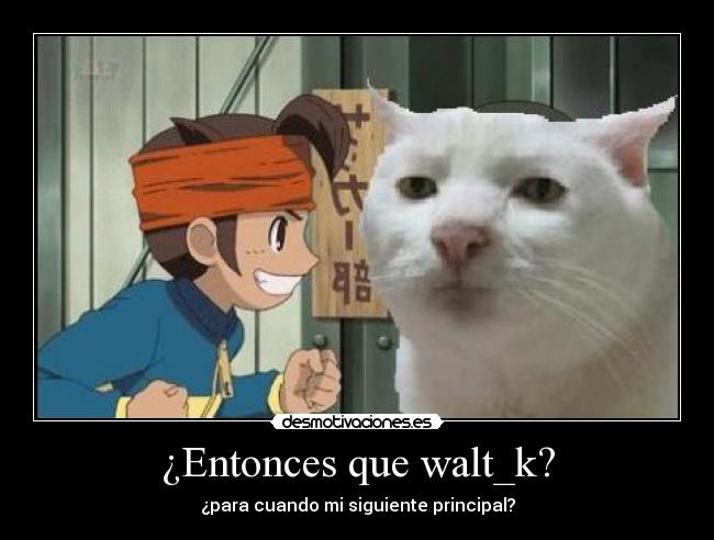 ¿Entonces que walt_k? - ¿para cuando mi siguiente principal?