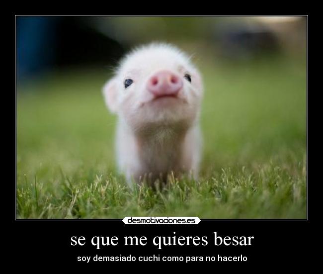 se que me quieres besar - 