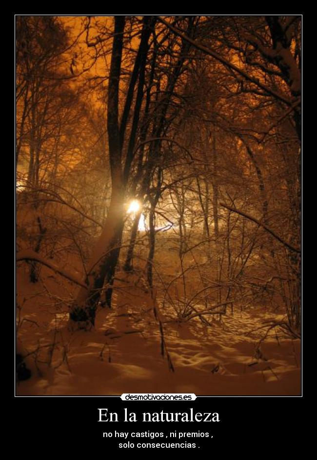En la naturaleza - no hay castigos , ni premios ,
solo consecuencias .