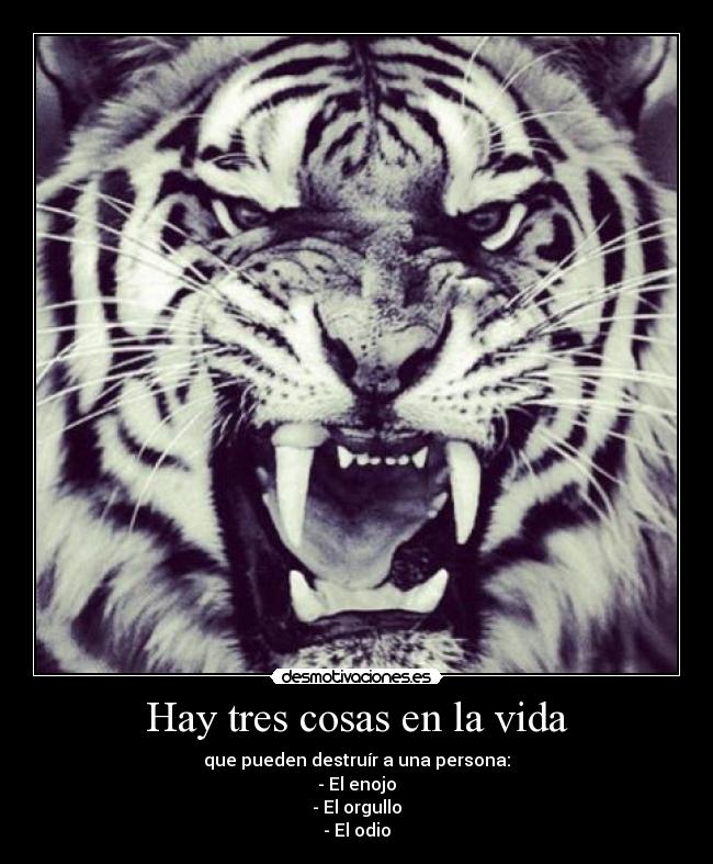 Hay tres cosas en la vida -