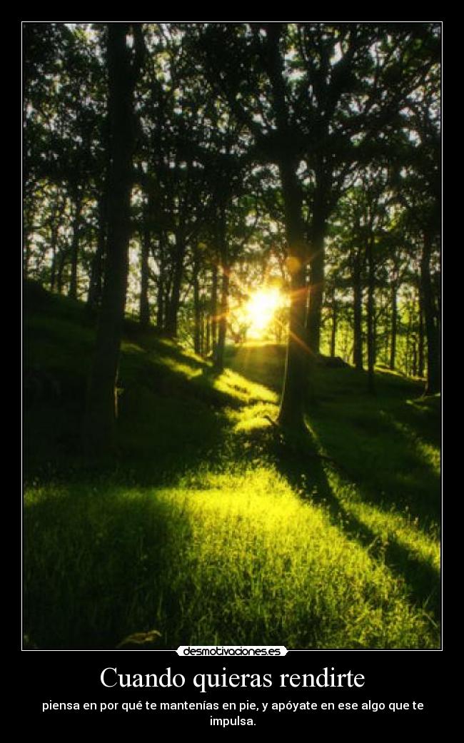 Cuando quieras rendirte -