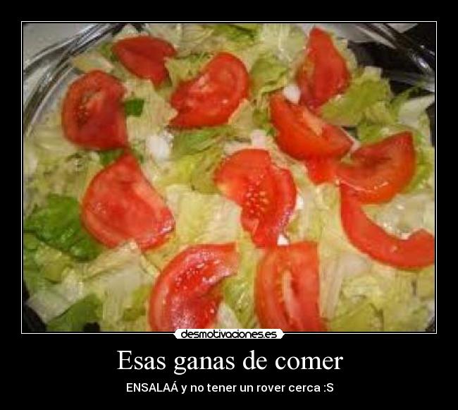 carteles sadf desmotivaciones