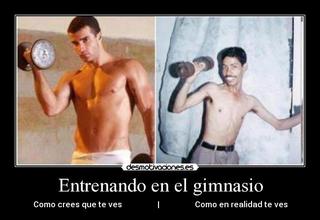 Entrenando en el gimnasio -