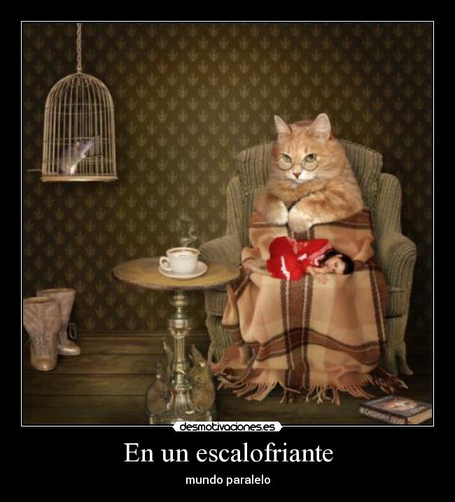 En un escalofriante -