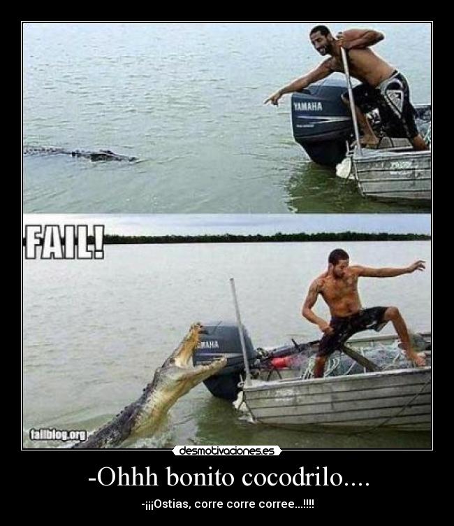 -Ohhh bonito cocodrilo.... - 