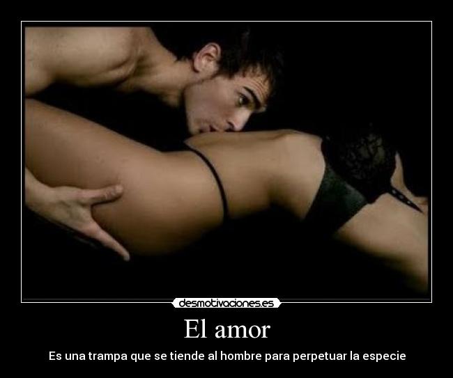 El amor - 