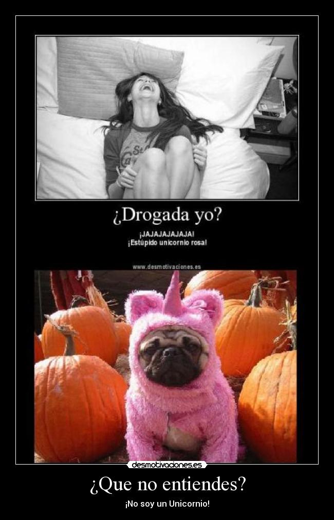 ¿Que no entiendes? - ¡No soy un Unicornio!