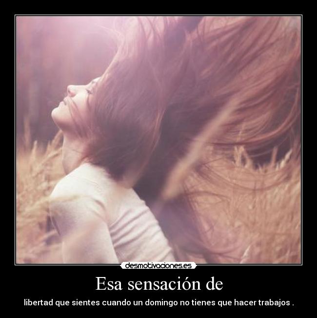 Esa sensación de - libertad que sientes cuando un domingo no tienes que hacer trabajos .
