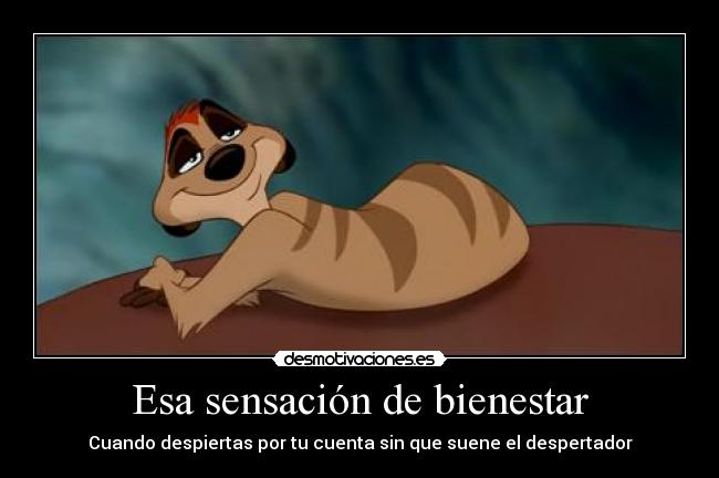 Esa sensación de bienestar -