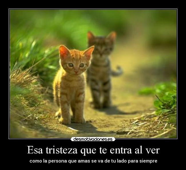 Esa tristeza que te entra al ver - como la persona que amas se va de tu lado para siempre