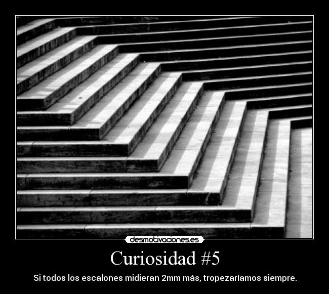 Curiosidad #5 - 