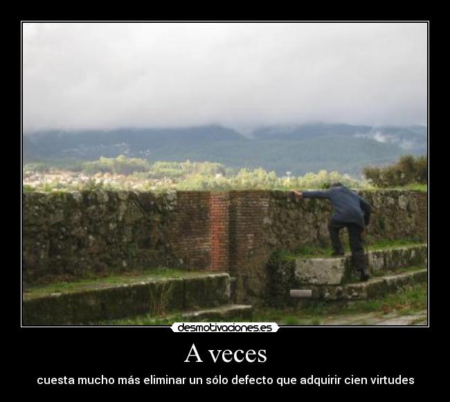 A veces - cuesta mucho más eliminar un sólo defecto que adquirir cien virtudes
