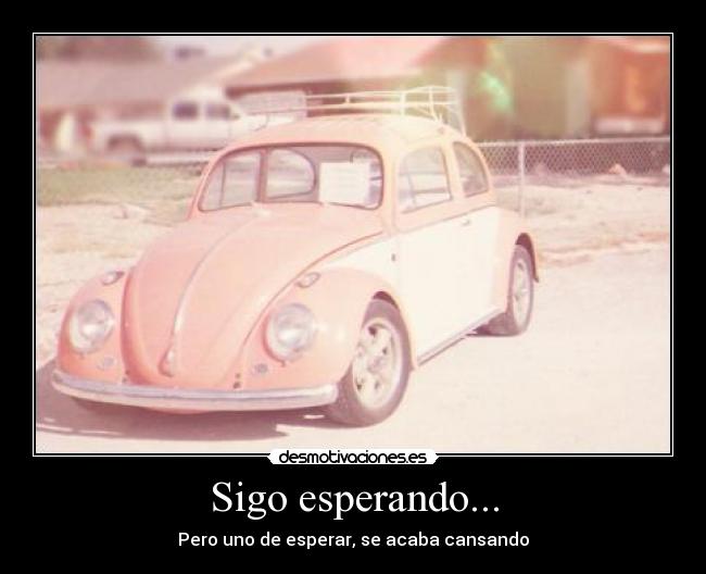 Sigo esperando... - 