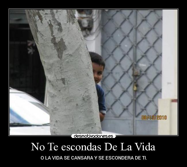 No Te escondas De La Vida -