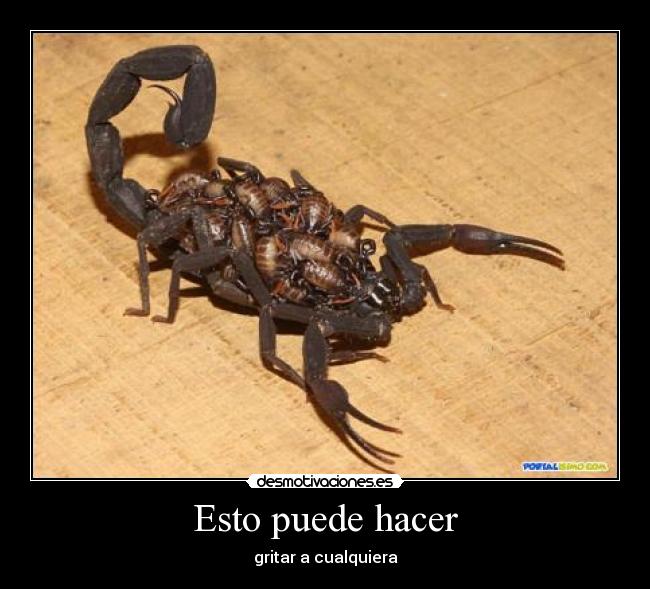 Esto puede hacer - gritar a cualquiera