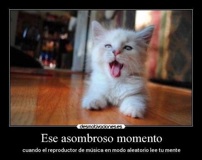 Ese asombroso momento - 