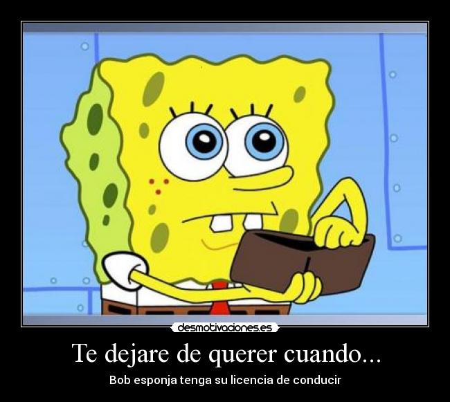 Te dejare de querer cuando... - Bob esponja tenga su licencia de conducir