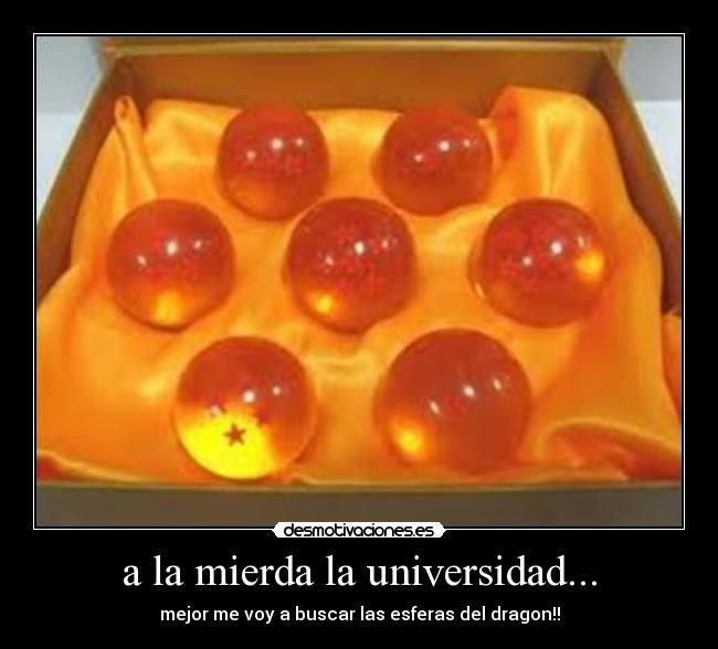 a la mierda la universidad... - mejor me voy a buscar las esferas del dragon!!