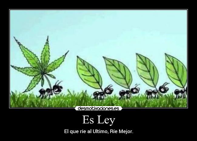 Es Ley - El que ríe al Ultimo, Ríe Mejor.