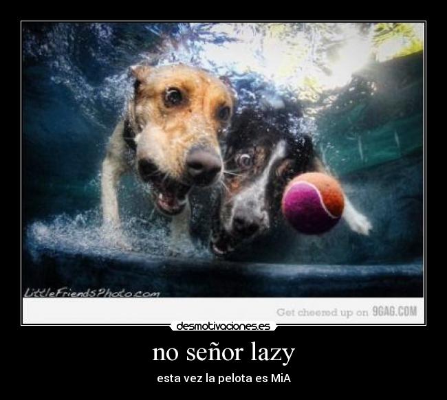 no señor lazy - esta vez la pelota es MiA