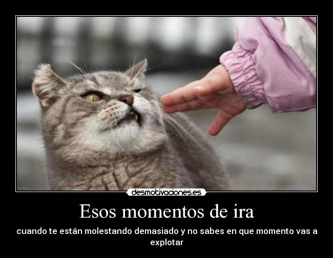 Esos momentos de ira - cuando te están molestando demasiado y no sabes en que momento vas a explotar