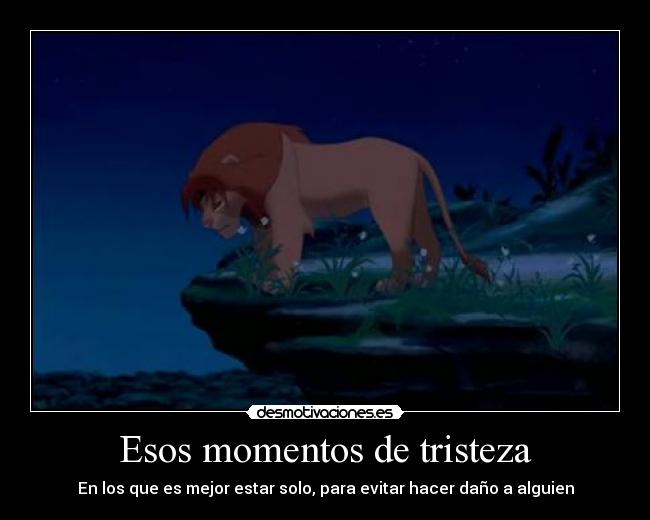 Esos momentos de tristeza - En los que es mejor estar solo, para evitar hacer daño a alguien