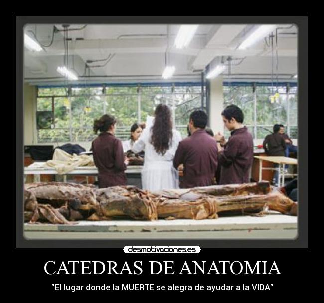 CATEDRAS DE ANATOMIA - El lugar donde la MUERTE se alegra de ayudar a la VIDA