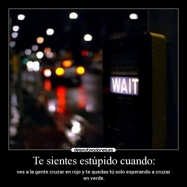 Te sientes estúpido cuando: - ves a la gente cruzar en rojo y te quedas tú solo esperando a cruzar en verde.