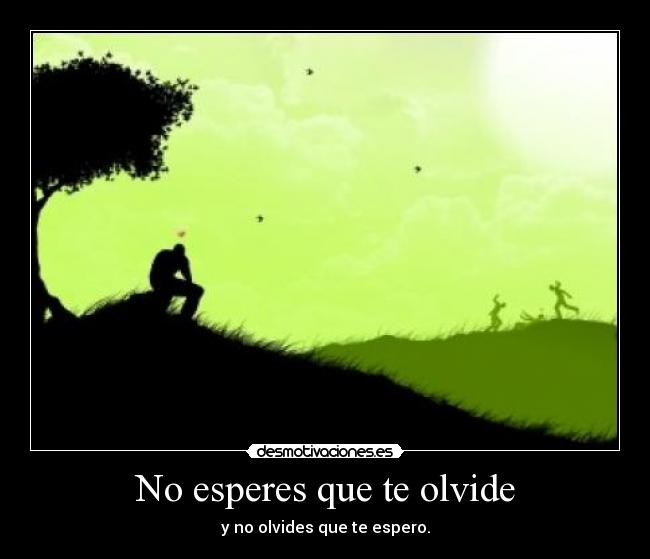 No esperes que te olvide -