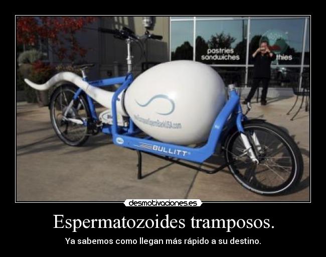 Espermatozoides tramposos. - Ya sabemos como llegan más rápido a su destino.