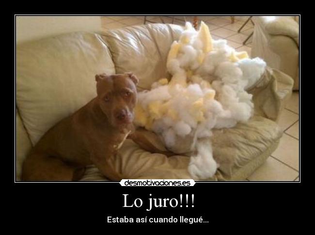 Lo juro!!! - 