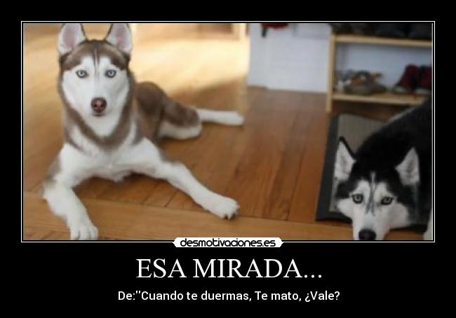 ESA MIRADA... -