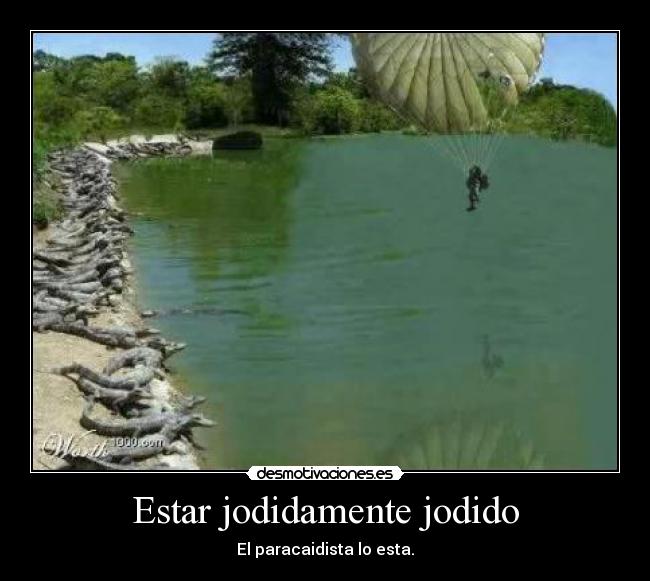 carteles cocodrilos desmotivaciones