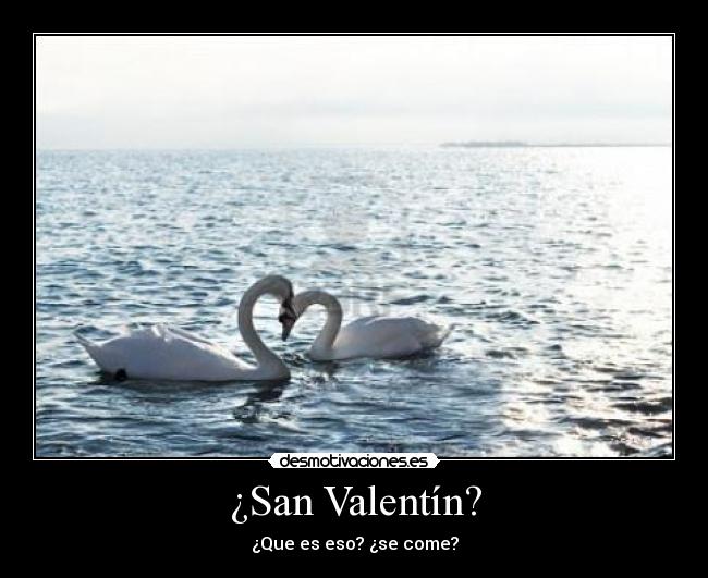 ¿San Valentín? - 