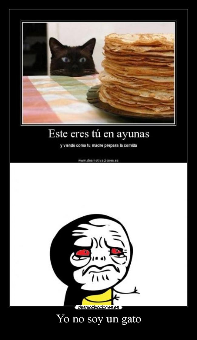 carteles gato desmotivaciones