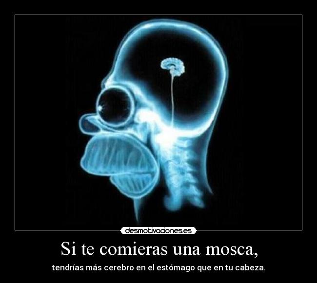 Si te comieras una mosca, - tendrías más cerebro en el estómago que en tu cabeza.