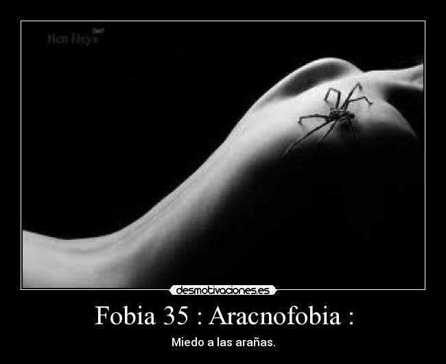 Fobia 35 : Aracnofobia : - Miedo a las arañas.