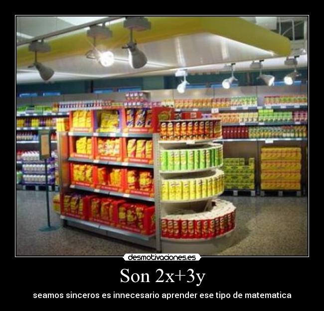 Son 2x+3y - seamos sinceros es innecesario aprender ese tipo de matematica