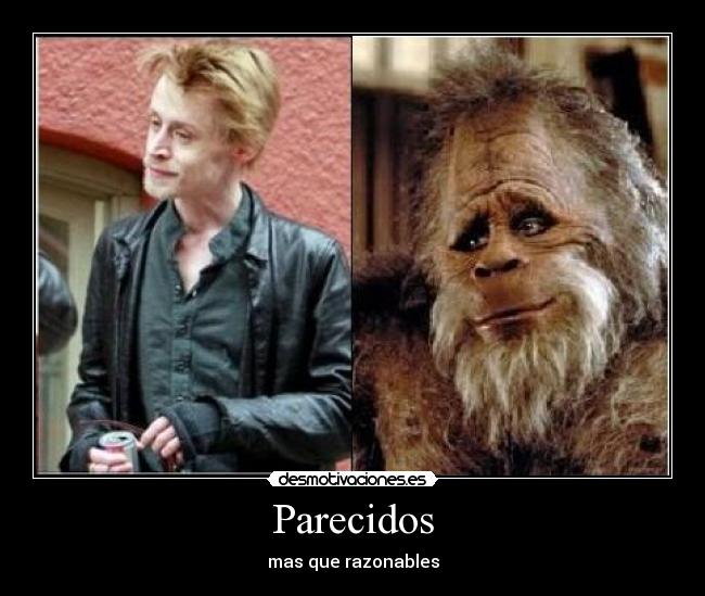 Parecidos - mas que razonables