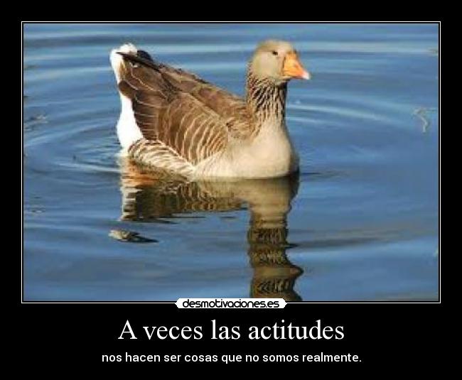 A veces las actitudes - nos hacen ser cosas que no somos realmente.