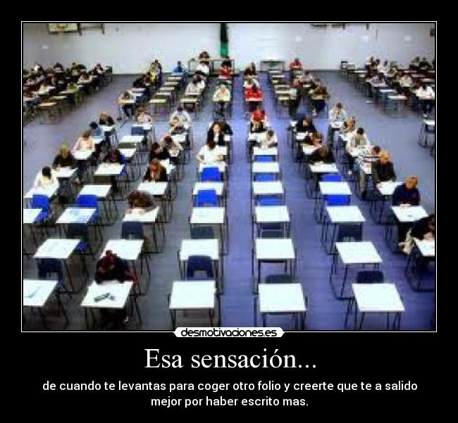 carteles maru feliz desmotivaciones