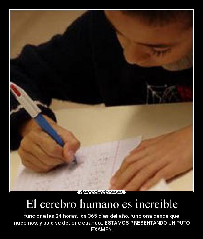 El cerebro humano es increible -