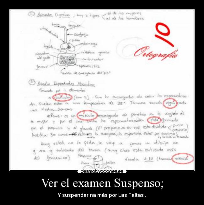 Ver el examen Suspenso; -