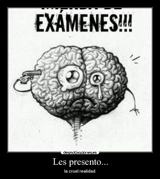 Les presento... - la cruel realidad.