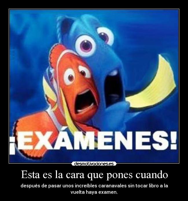Esta es la cara que pones cuando - después de pasar unos increíbles caranavales sin tocar libro a la
vuelta haya examen.