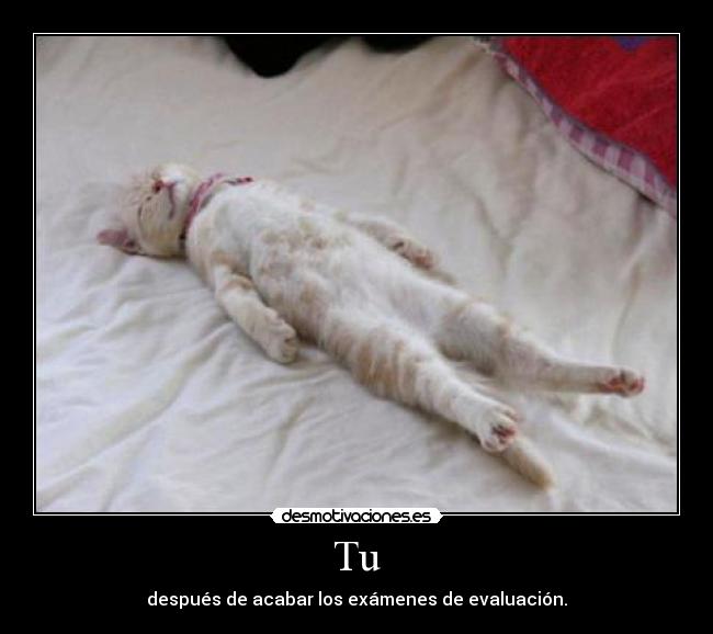 Tu - después de acabar los exámenes de evaluación.