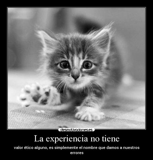 carteles badgirl gatito puke frase para pensar como puke pene teta culo desmotivaciones