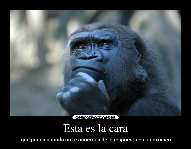 Esta es la cara - que pones cuando no te acuerdas de la respuesta en un examen