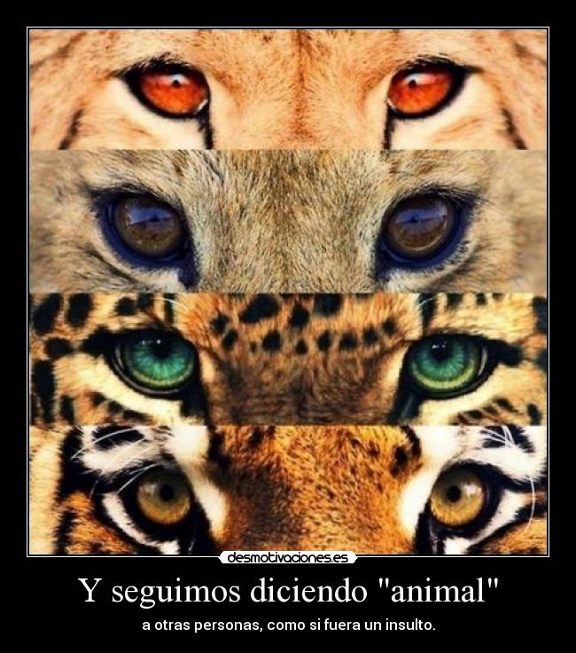 Y seguimos diciendo animal - a otras personas, como si fuera un insulto.
