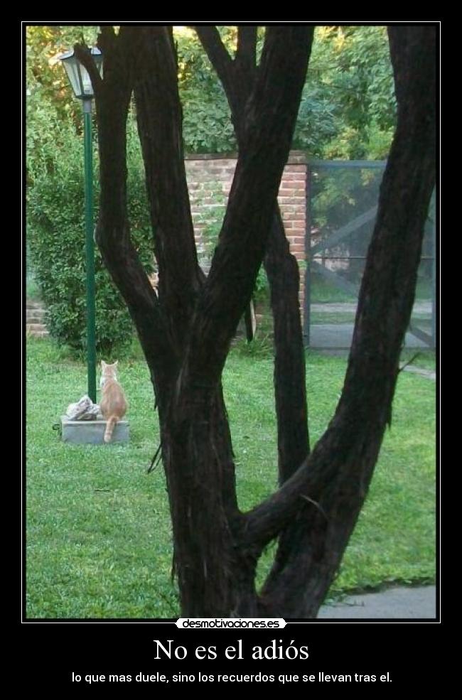 No es el adiós - lo que mas duele, sino los recuerdos que se llevan tras el.